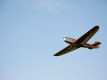 DSC_2449_m_900px