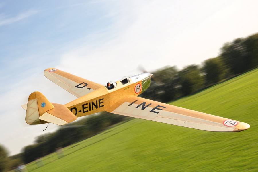 DSC_2372_move_crop_900px